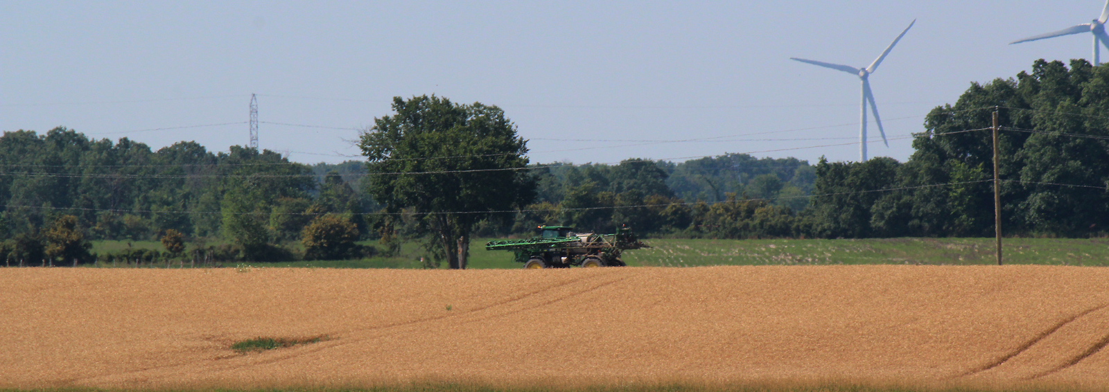 Tractor driving through rolling field of wheat